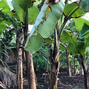 Meet your Posher, Nadia